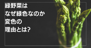 緑野菜が緑の理由とは？美味しく茹でるポイントとは？